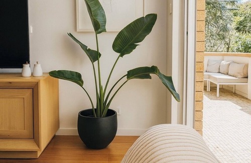 Bondi Apartment | Stylish & perfectly located Bondi Beach hideaway