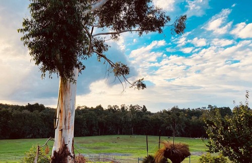 Nannup Other | Stylish property in beautiful setting