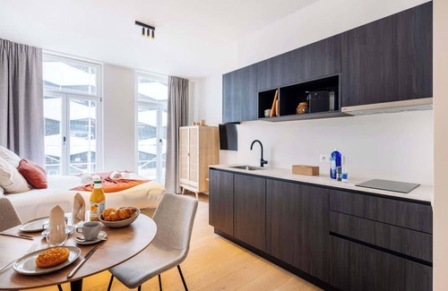 Ghent City Centre Apartment | Stylish Studio Retreat in Ghent City