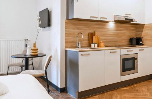 Centrum Apartment | Stylish Studio With Balcony, Near Tilburg Station