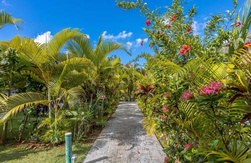 El Centro Villa | Sueños 7 – 2BR Villa with Pool, Starlink Walk to Beach & Shops – Las Terrenas