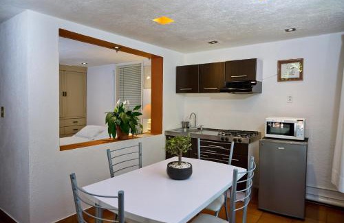 Campestre Apartment | Suite 4A, Terraza, Garden House, Welcome to San Angel