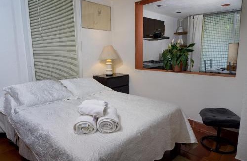 Campestre Apartment | Suite 4A, Terraza, Garden House, Welcome to San Angel