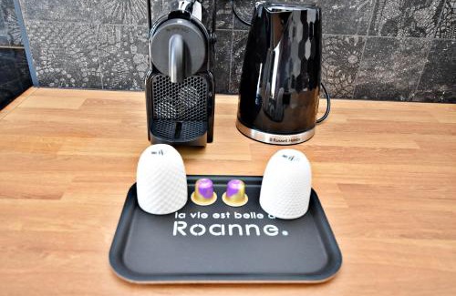 Roanne Apartment | Suite Arum classée 3 étoiles avec balnéo