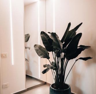 Aspra Bed & Breakfast | Suite le palme