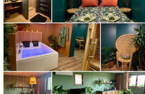 Rorschwihr House | Suite LIANA - SPA- SAUNA