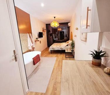 Albi Apartment | Suite parentale avec parking