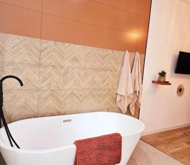 Albi Apartment | Suite parentale avec parking