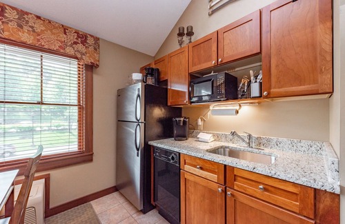 Thayerville Apartment | Suites at Silver Tree A314: Studio and Loft Suite with Free WIFI and Fireplace!