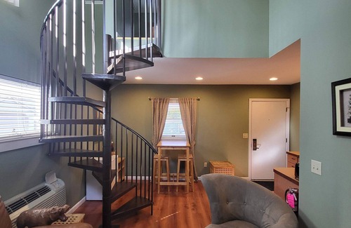 Hershey Apartment | Suites On Chocolate - The Zoo