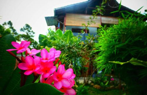 Bohorok House | Sumatra Orangutan Discovery Villa