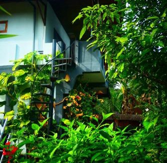 Bohorok House | Sumatra Orangutan Discovery Villa
