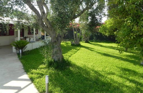 San Lorenzo Villa | summer house the olive tree