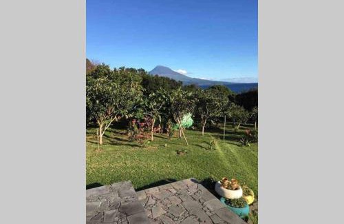 Conceicao House | Summer house with BBQ and Garden