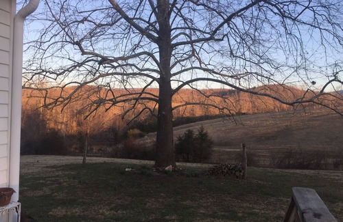 Batesville Cottage | Summer Kitchen Cottage near charming Charlottesville