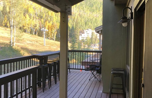 Purgatory Condo | SUMMER TIME FUN OR "ON" the Ski Slope - Not Just Ski-in/Ski Out - Edelweiss #10