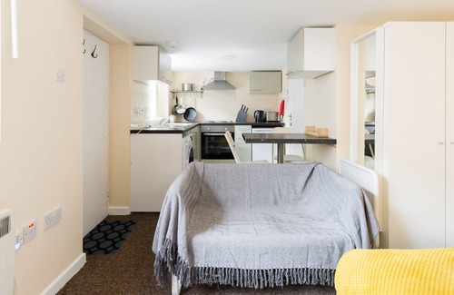 Edgbaston Apartment | Summerfield Crescent Annex