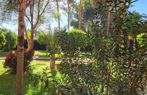 Hivernage Apartment | SUN apartment in Marrakech with garden and pool access