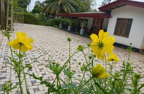 Dambulla House | Sun Ceylon Homestay