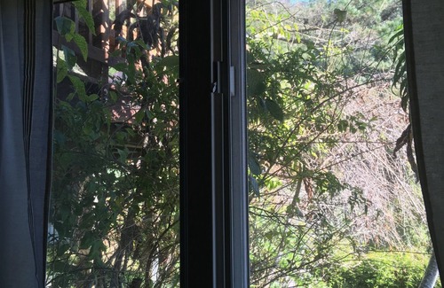 Mill Valley Apartment | Sun Drenched pool, Private, Peaceful Home, Nestled at the Base of Mt. Tam