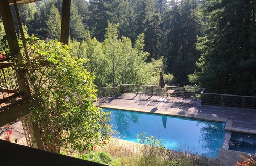 Mill Valley Apartment | Sun Drenched pool, Private, Peaceful Home, Nestled at the Base of Mt. Tam