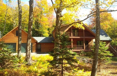 Roscoe Cabin | Sun filled cabin a short walk to the BeaverKill River