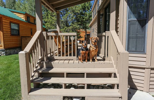The Highlands Ski Chalet | Sun & Snow Chalet Breckenridge, a Dog Lovers Dream
