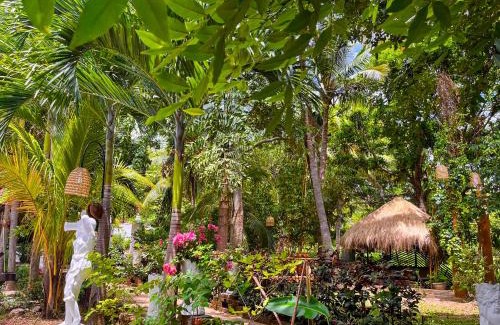 Dambulla Resort | Sundaras Infinity Jungle Resort