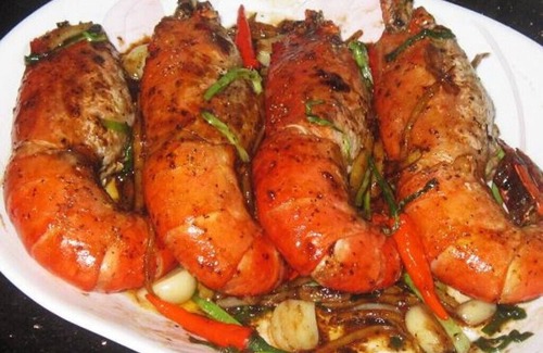 Basirhat House | Sundarban Tour And Travels