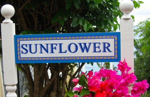 Nazareth Apartment | Sunflower at Stonehouse, Outdoor Fresh Air Living.