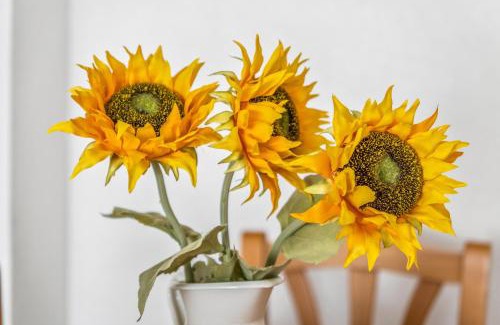 Santa Pola Apartment | Sunflower Europa