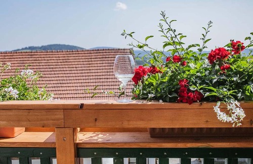Wegscheid Apartment | Sunflower vacation apartment with terrace and outdoor seating area