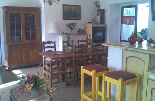 Ormes House | Sunflowers in burgundy