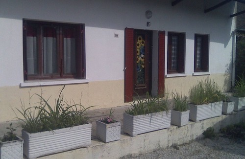 Ormes House | Sunflowers in burgundy