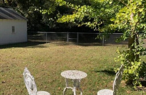 Belvedere Park House | Sunny 2 bedroom cottage minutes from downtown!