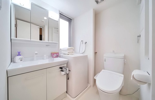 Nishi Apartment | Sunny 3 - guest American - style Osaka apt.Private bath, kitchen. Unit 201.