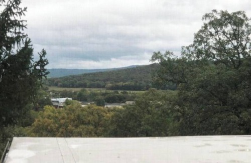 Fayetteville Apartment | Sunny Apt near UA -Mountain views & full kitchen
