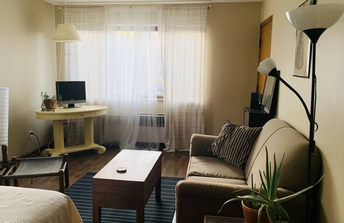 East Price Hill Apartment | Sunny, bright efficiency with an MCM vibe !