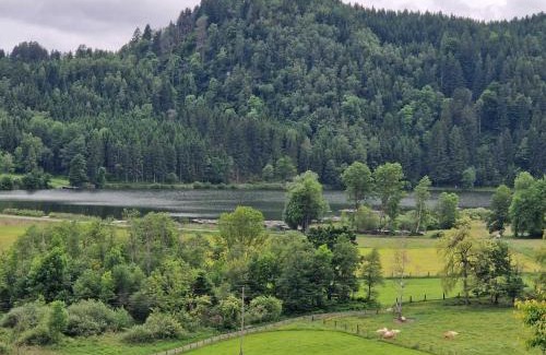 Sankt Urban Apartment | Sunny&Cozy - Maisonette Apartment in See Nähe