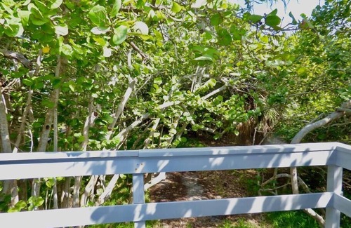 Placida House | Sunny Daze: Beachfront Cottage with private dock on the bay!