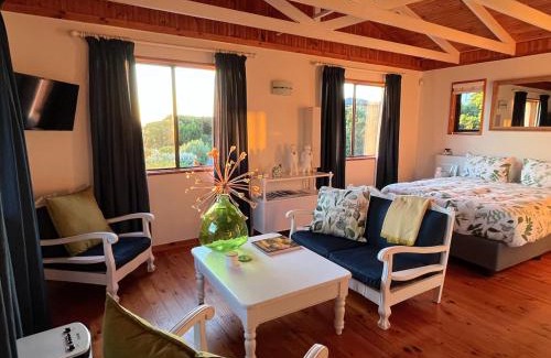 Brenton-on-Sea Apartment | Sunny studio in the sky