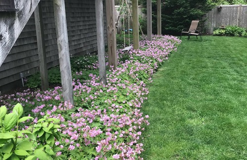 Chatham Condo | Sunny Updated Chatham Village 2 Bedroom Condo W/Large Private Deck
