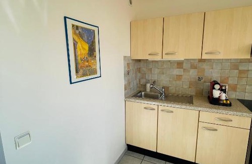 Saint-Louis Apartment | SunnyF2- EuroAiport-Basel-TrainStation-CityCenter