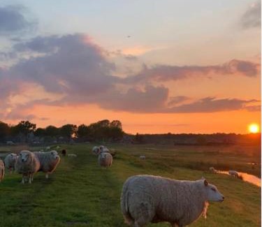 Eemnes Ski Chalet | Sunrise & coffee, vrijstaand, warm design huisje in de polder