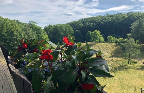 Lake Toxaway Cottage | Sunrise Cottage: Unique farmhouse unit sleeps 4