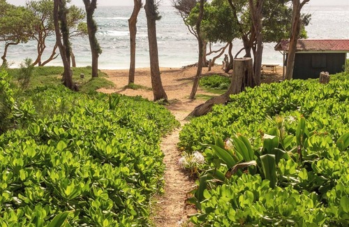 Laie House | Sunrise Escape in Kahuku: Two-min drive to beaches