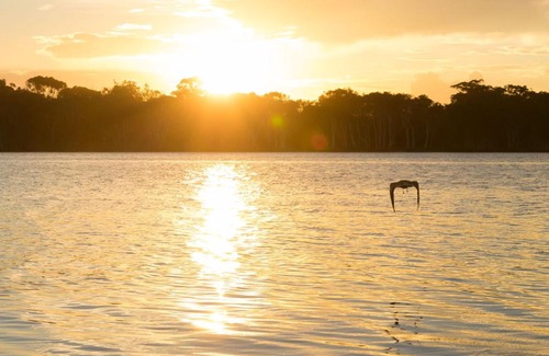 North Creek Villa | Sunset at Gibbon - Lennox Head