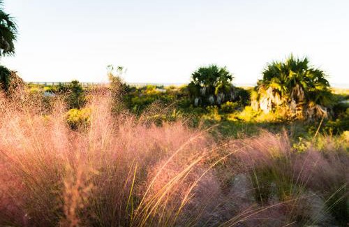 Port St. Joe House | Sunset Bliss Cove by Pristine Properties Vacation Rentals
