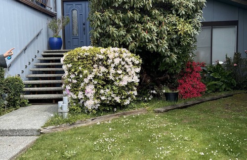 Trinidad House | Sunset House -A View to Experience- Serene Location in Town.