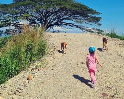 Pereira Villa | Sunset lodge 41